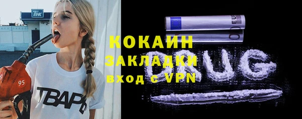 прущие грибы Бронницы