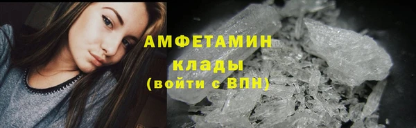 прущие грибы Бронницы
