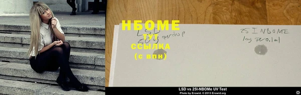 прущие грибы Бронницы