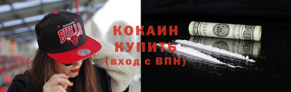 прущие грибы Бронницы