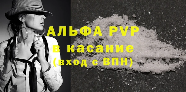 прущие грибы Бронницы