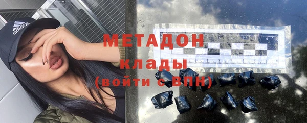 прущие грибы Бронницы