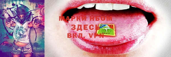 прущие грибы Бронницы