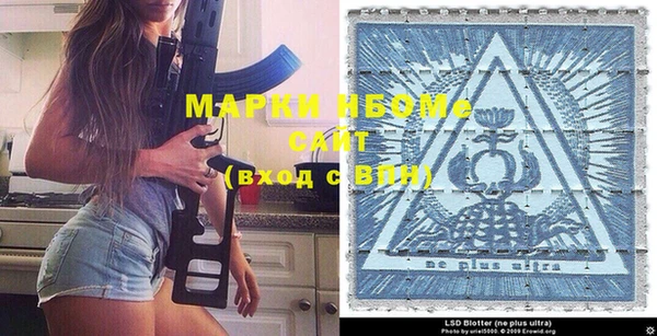 прущие грибы Бронницы