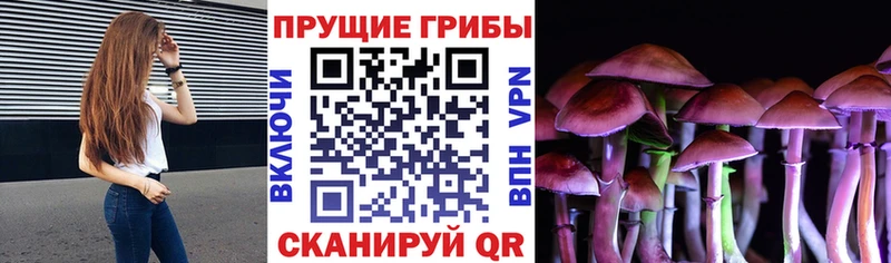где продают наркотики Цоци-Юрт ссылка на мегу маркетплейс Галлюциногенные грибы прущие грибы