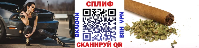 Шишки марихуана сатива  Цоци-Юрт 